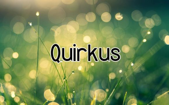 Quirkus: A Bold Display Font for Dynamic Designs